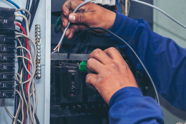 Best Electric Panel Repair  in Hammond, WI
